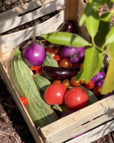 a wooden box filled with different types of vegetables at Tenuta di Tramonte Boutique Hotel in Lucca