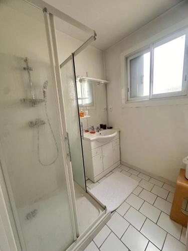 une salle de bain avec douche et lavabo dans l'établissement AGENCIA appartement 2 chambres LE CORFOU, à Cannes