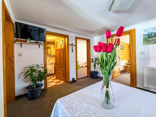 Μια τηλεόραση ή/και κέντρο ψυχαγωγίας στο Apartmán u Paliho