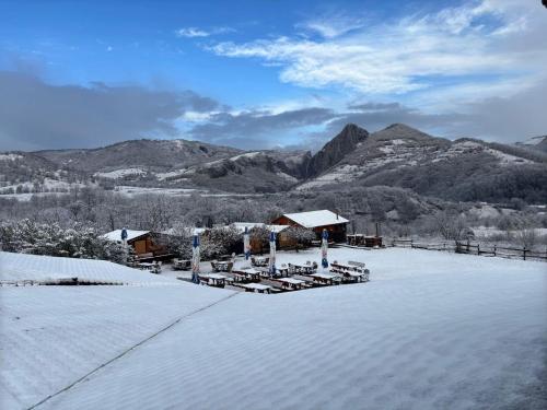 a patio with tables and chairs in the snow at Pensiunea Bodrogeni in Poiana Aiudului
