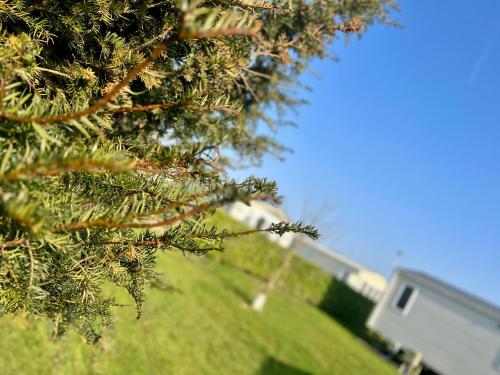 Κήπος έξω από το Wolds Retreat at the peaceful Cherry Lea Holiday Park and Fishing Lake Skegness