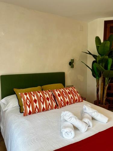 Allegra Suite II