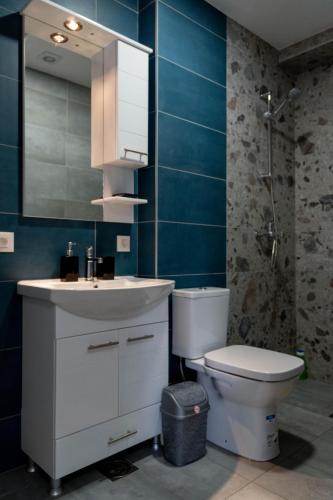 a bathroom with a toilet and a sink and a mirror at Urban Stay - Main Area Apartments in Skopje