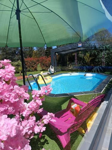 a swimming pool with two pink chairs and an umbrella at La Roulotte du Parc in Saint-Priest-des-Champs