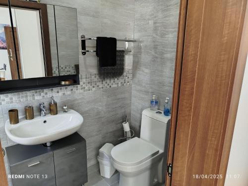 a bathroom with a toilet and a sink and a mirror at Joanna's Penthouse in Lija