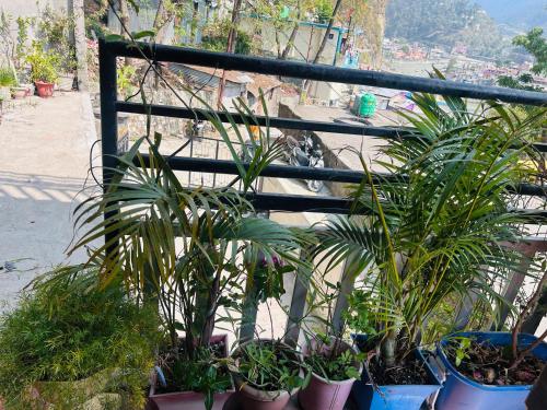 Φωτογραφία από το άλμπουμ του Viraj Home stay σε Uttarkāshi