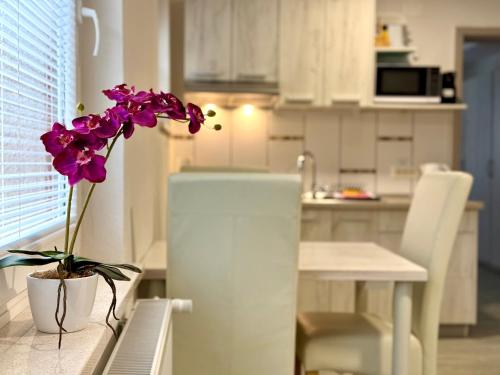 Η κουζίνα ή μικρή κουζίνα στο Guest house Kobal