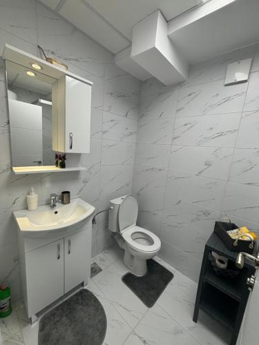 a bathroom with a toilet and a sink and a mirror at M&M Cozy Apartment-Free Parking in Skopje