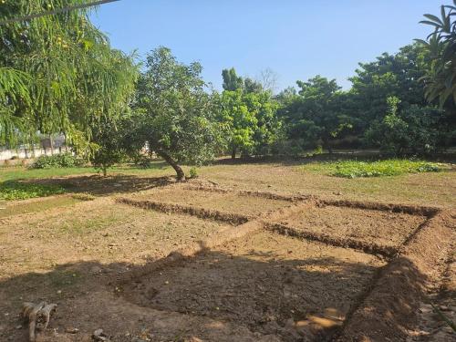 Taman di luar Cheemas farm stay