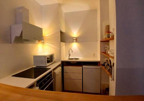 une petite cuisine avec un évier et un micro-ondes dans l'établissement Au Canal, à Toulouse