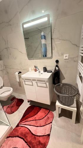 La salle de bains est pourvue d'un lavabo, d'un miroir et d'un tapis rouge. dans l'établissement Cocon urbain , bel appartement entièrement équipé, entrée privée, parking, à Wittenheim