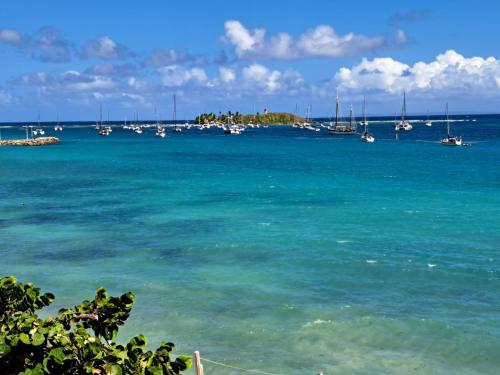 Gallery image of F1 vue mer, accès plage, en centre-ville in Le Gosier