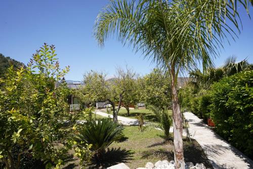 Billede fra billedgalleriet på Cirali Villas 2 i Cıralı