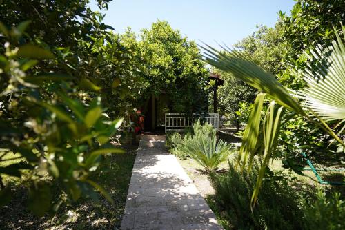 Billede fra billedgalleriet på Cirali Villas 2 i Cıralı