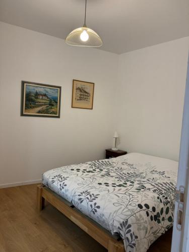 - une chambre avec un lit et une lampe sur le mur dans l'établissement Appartement meublé tout confort, à Chalon-sur-Saône