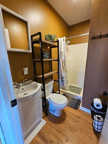a bathroom with a toilet and a sink and a shower at Cozy Cabin, Foliage, Hot Tub, Wi Fi, Fireplace in Mars Hill