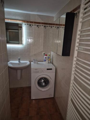 a bathroom with a washing machine and a sink at Apartment am Boselgarten in Coswig