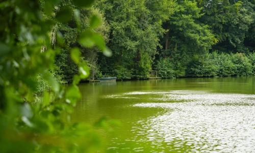 Photo de la galerie de l'établissement Cottage in rural Normandy, à Passais-la-Conception