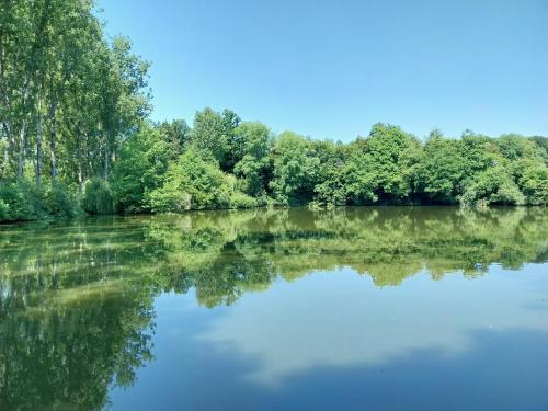 Photo de la galerie de l'établissement Cottage in rural Normandy, à Passais-la-Conception