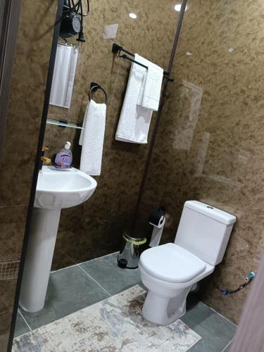 a bathroom with a toilet and a sink at Green Veranda in Nurekata