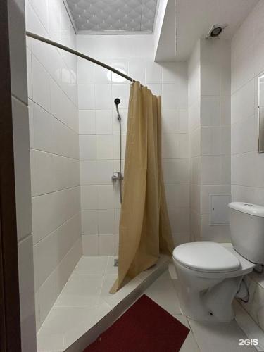 a bathroom with a toilet and a shower at Айымхан in Almaty