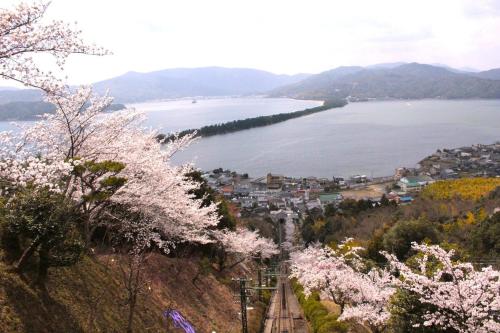 a view of a city and a lake withakura trees at KYOTO TANGO MIYAZU inn in Miyazu
