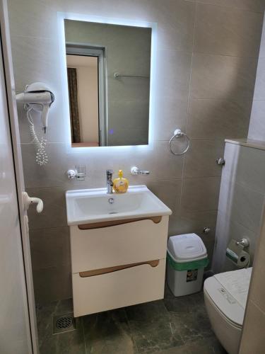 a bathroom with a sink and a mirror and a toilet at Villa Deea Ohrid in Ohrid