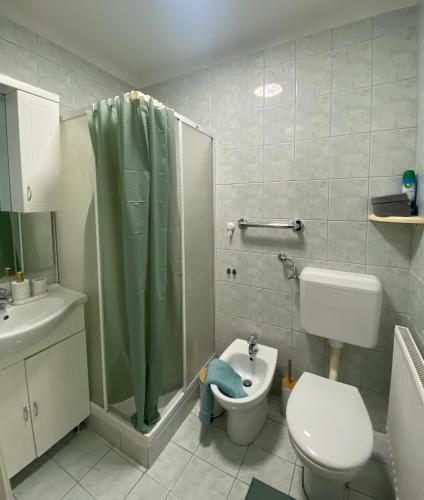 a bathroom with a shower and a toilet and a sink at Oaza Narave Apartment, Peaceful Retreat near Bled & Vintgar in Spodnje Gorje