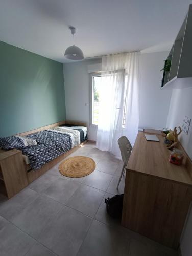 Nemea Montpellier Paul Valery