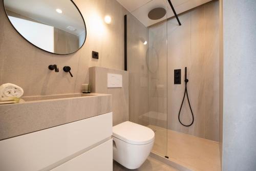 La salle de bains est pourvue de toilettes et d'une douche avec un miroir. dans l'établissement Austerlitz Residence, à Paris