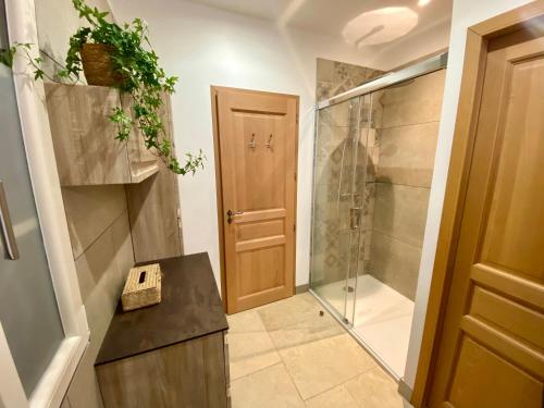 une salle de bain avec douche et douche à l'italienne dans l'établissement Villa CHARRE Mas Provençal avec piscine privée, à Ceyreste