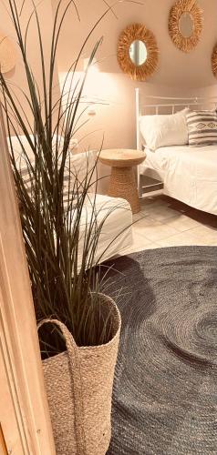 a bedroom with a potted plant and a bed at KIPOS-SS residences in Dassia