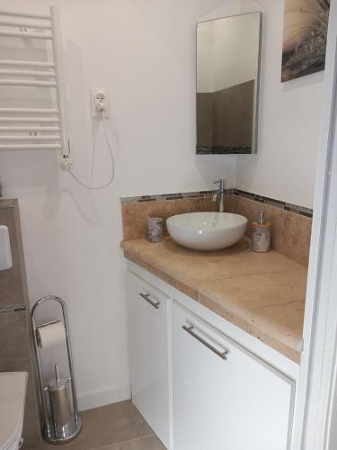 une salle de bain avec un lavabo et un miroir dans l'établissement Studio Valcros, La Londe, à La Londe-les-Maures