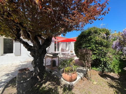 SALINE maison spacieuse à Le Flotte en Ré