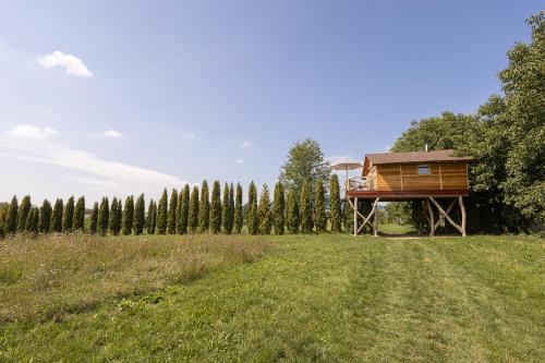 a cabin in a field next to a line of trees at Ptačí domek in Úštěk