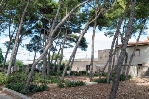 a group of trees in front of a building at GuestHost - Villa Isidoro Pizzolungo Vibes in Pizzolungo