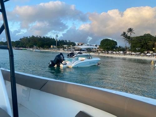 Perfect summer excursions