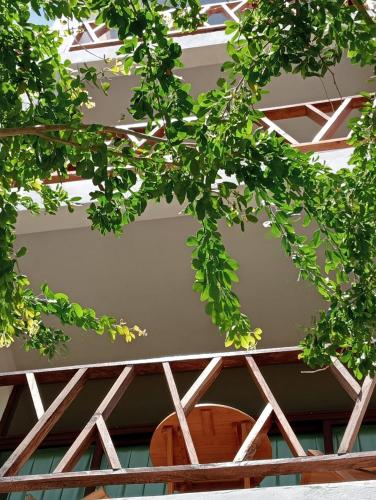 a tree with green leaves in front of a building at Casa Laud Chacahua in La Sabrosa