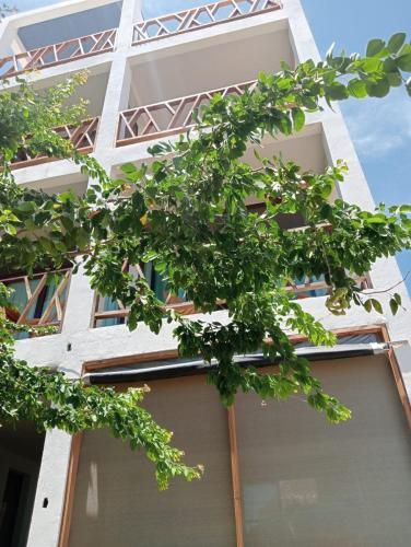 a tree in front of a white building at Casa Laud Chacahua in La Sabrosa