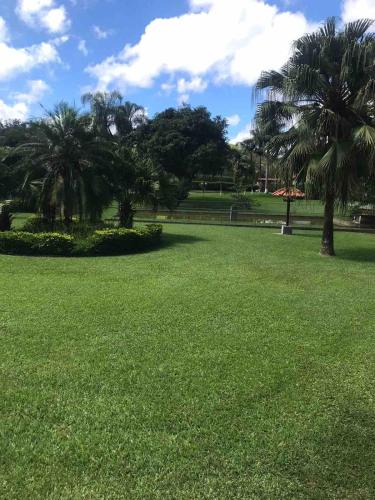 a park with palm trees and a green field at Sítio Roselaine - Dream Place in Jacareí