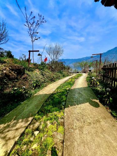 a dirt road with a tree on a hill at Táo Tày House in Sa Pa