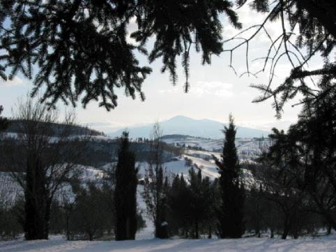 Gallery image of Terre di Nano in Monticchiello