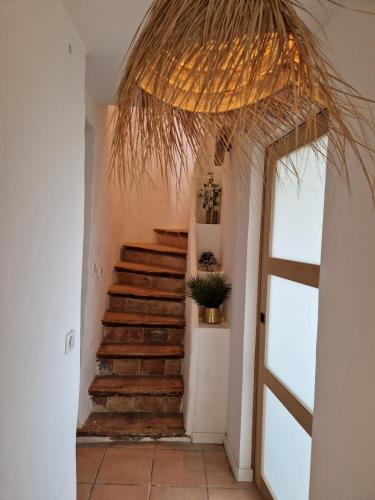 a hallway with a staircase with a potted plant at Maison de charme et vue Imprenable à 180 degrés sur les vignes et Pyrénées in Paraza