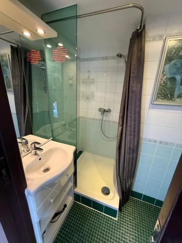 a bathroom with a sink and a glass shower at Schiffspension Luise in Potsdam