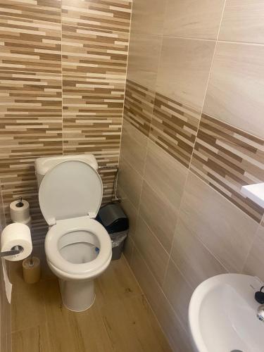 a bathroom with a toilet and a sink at Penzion U Jandů in Běhařov