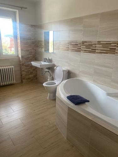 a bathroom with a tub and a toilet and a sink at Penzion U Jandů in Běhařov