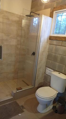 a bathroom with a toilet and a shower at Casa Quinta Roen Gral Rodriguez zona oeste in General Rodríguez