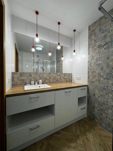 a bathroom with a sink and a mirror at Apartament Eliza in Ustroń