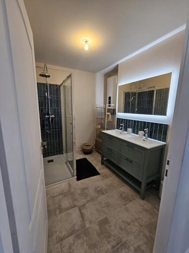 une salle de bain avec un lavabo et une douche dans l'établissement L'Authentique - Appartement 6, à Loudéac