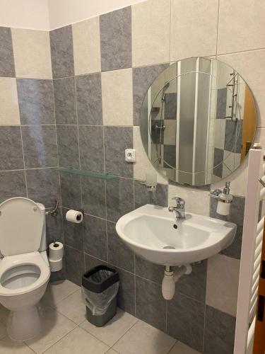 a bathroom with a sink and a toilet and a mirror at Penzion U Jandů in Běhařov